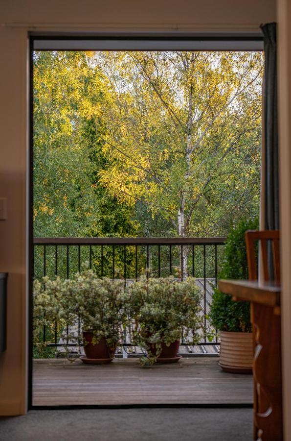 Private And Peaceful Studio Apartment 瓦纳卡 外观 照片